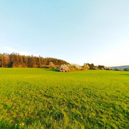 Hochwertige Wohnung Mit Parkplatz Im Schoenen Schwarzwald 阿尔滕斯泰希 外观 照片