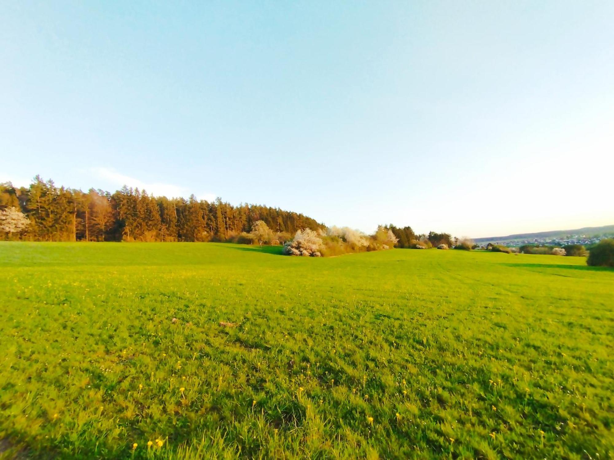 Hochwertige Wohnung Mit Parkplatz Im Schoenen Schwarzwald 阿尔滕斯泰希 外观 照片